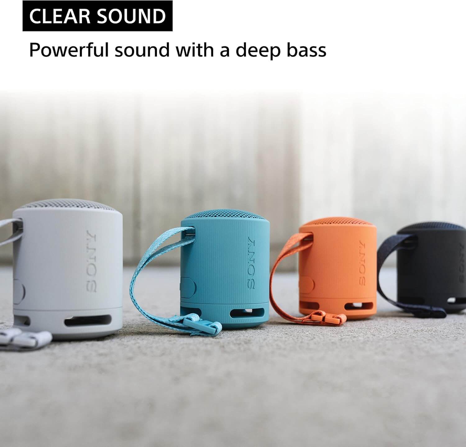 Sony SRS-XB100 Wireless Bluetooth Portable Speaker