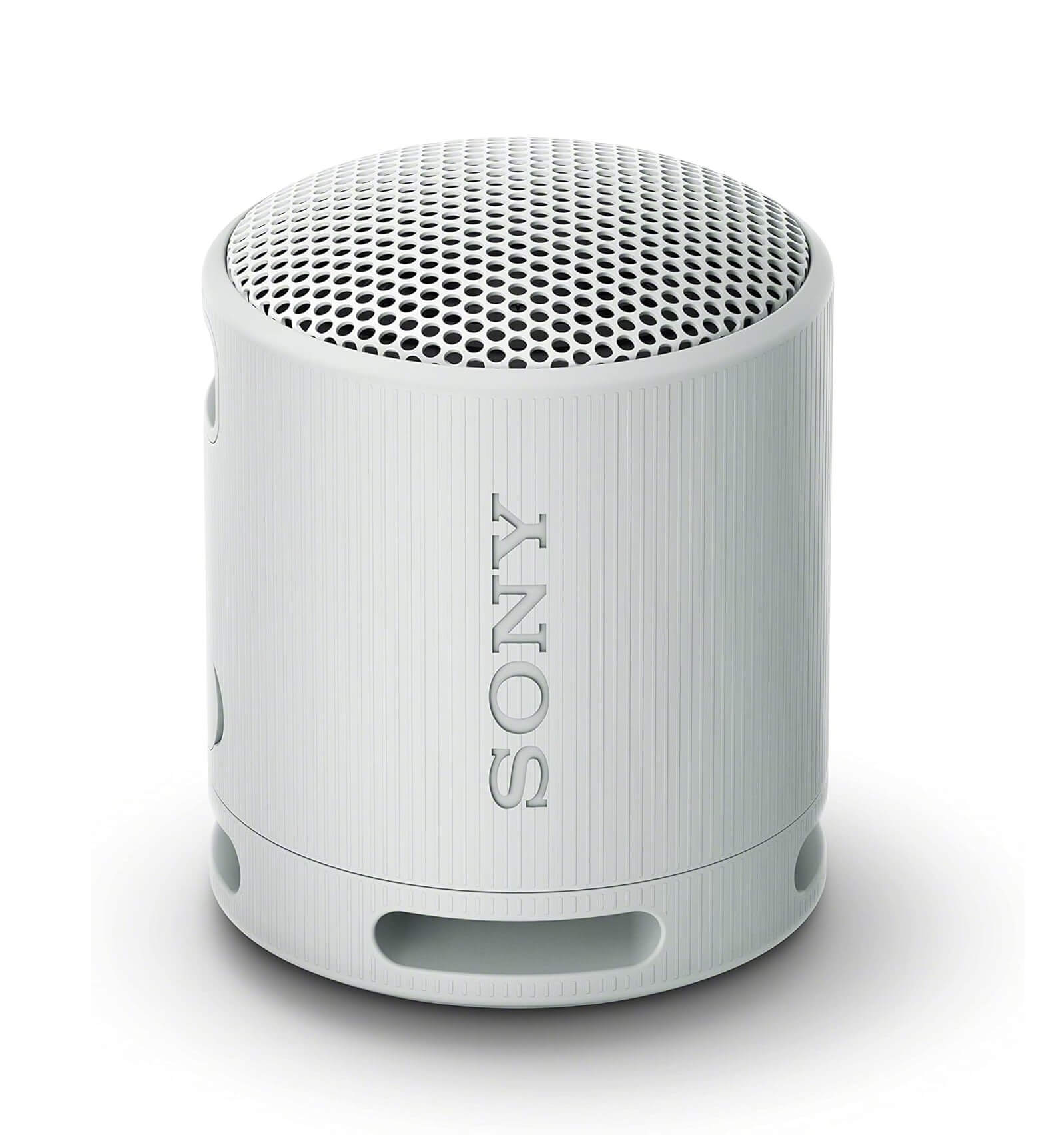 Sony SRS-XB100 Wireless Bluetooth Portable Speaker